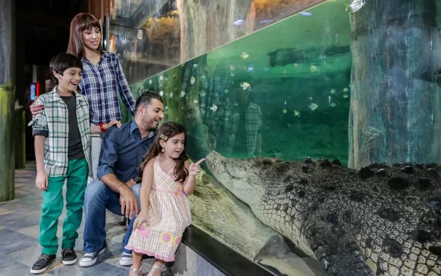 Dubai Aquarium & Underwater Zoo – Regular Pass - Image 1