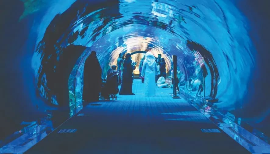 Dubai Aquarium & Underwater Zoo – Regular Pass - Image 7
