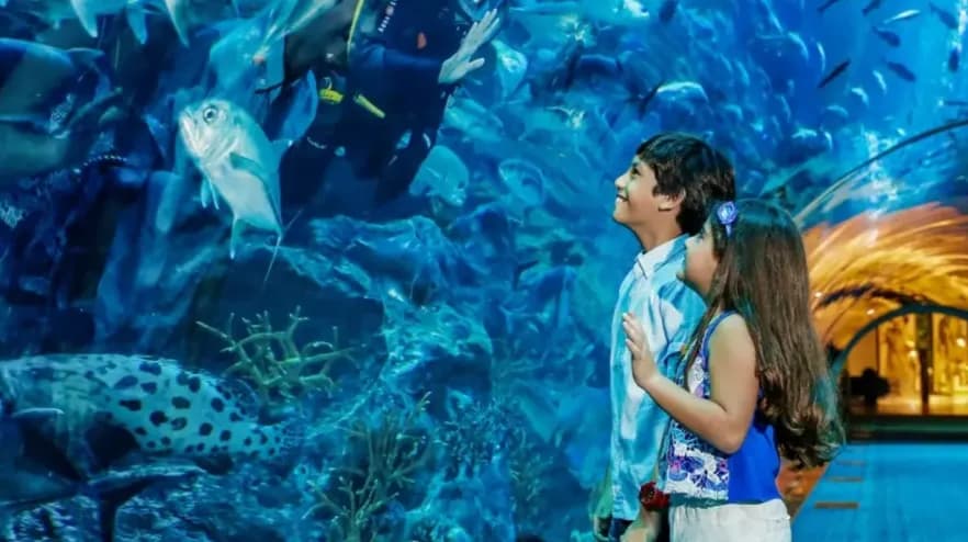 Dubai Aquarium & Underwater Zoo – Regular Pass - Image 2