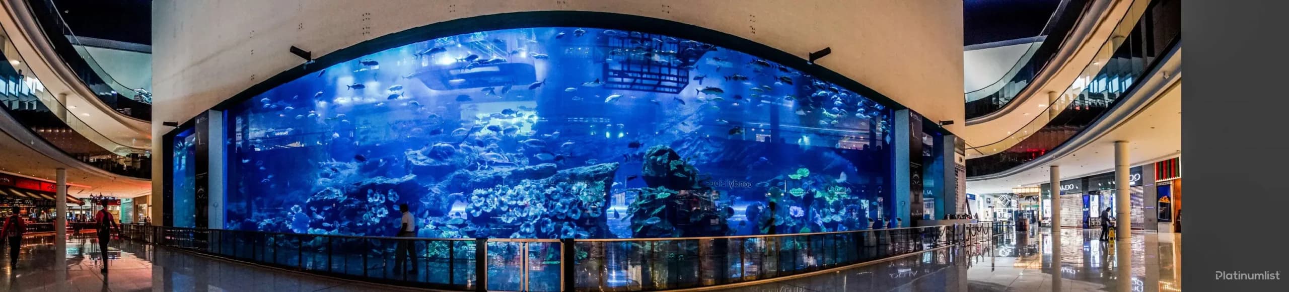 IMG Park + Dubai Aquarium – Combo - Image 6