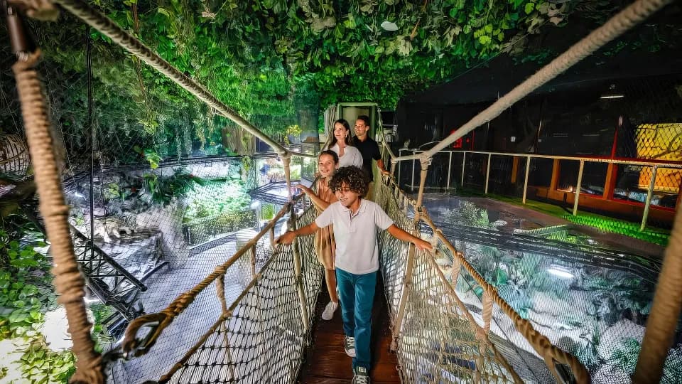 Dubai Aquarium & Underwater Zoo – Regular Pass - Image 1