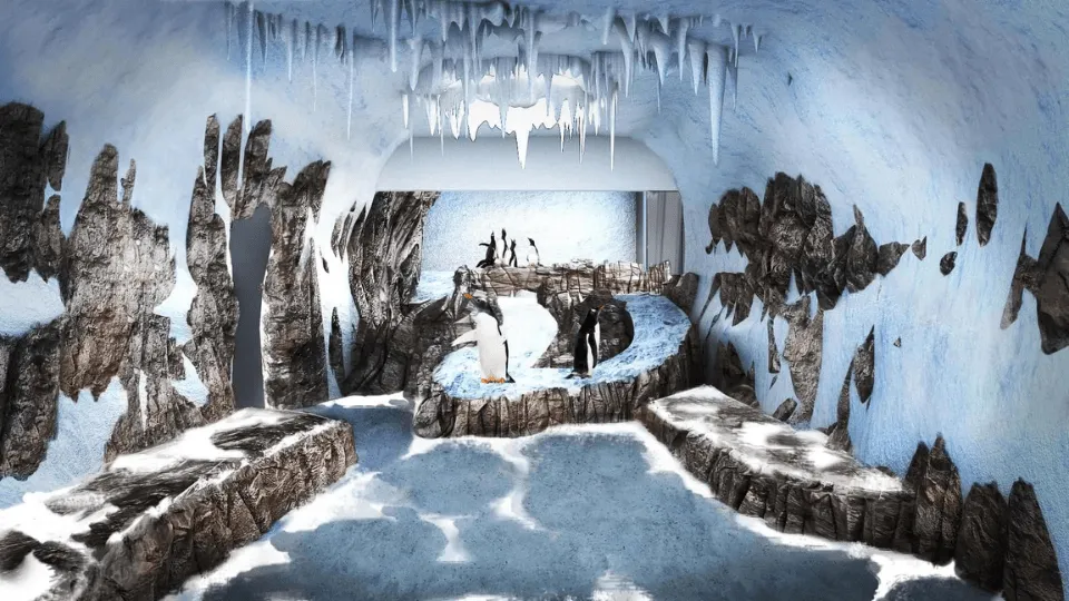 Dubai Aquarium &amp; Underwater Zoo – Penguin Encounter - Image 1